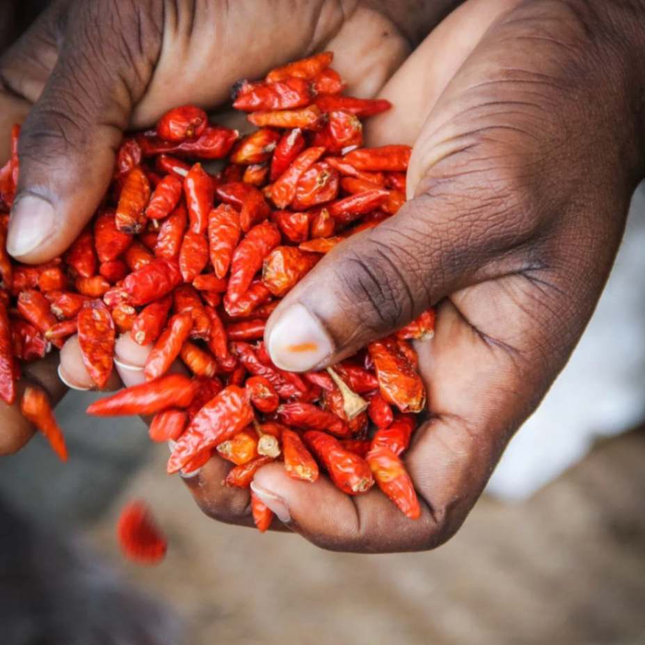 Piment - Alimentari - Montpellier