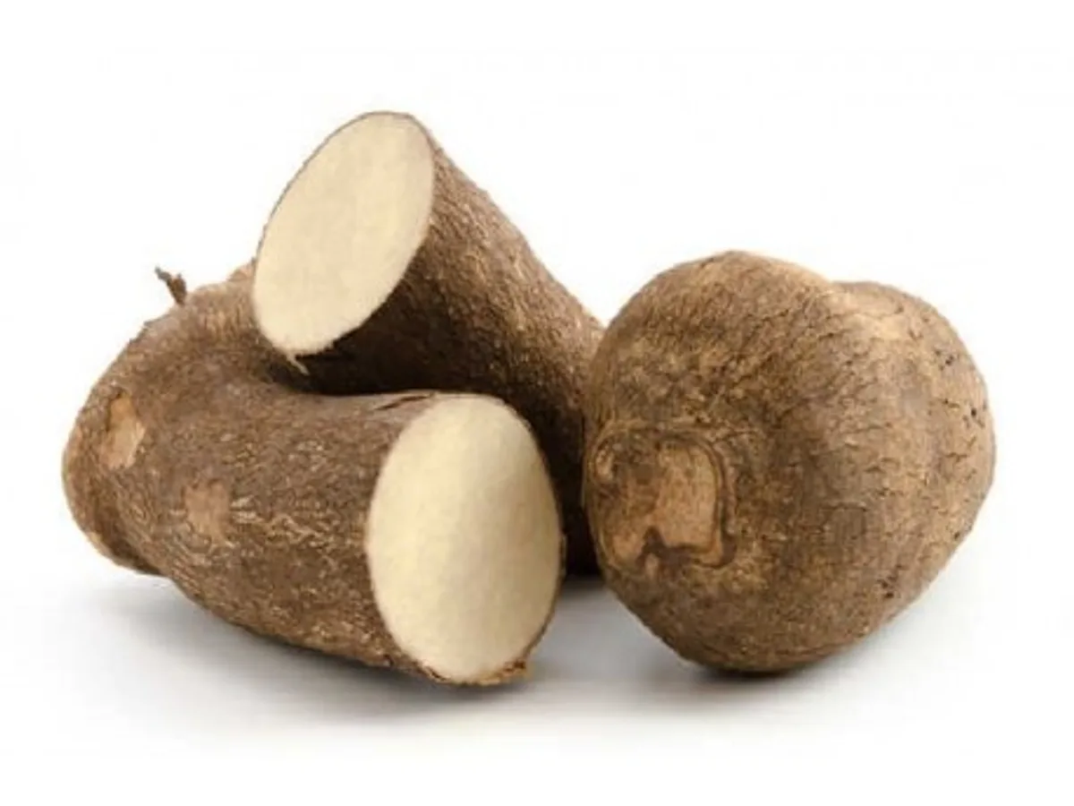 Igname - Tubercule Entier - Alimentari - Marseille