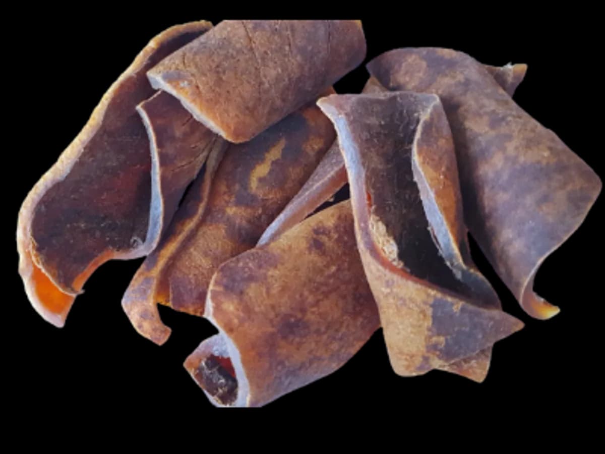 Peau de Bœuf Séchée (Kanda) - Food & Cucina - Bologna