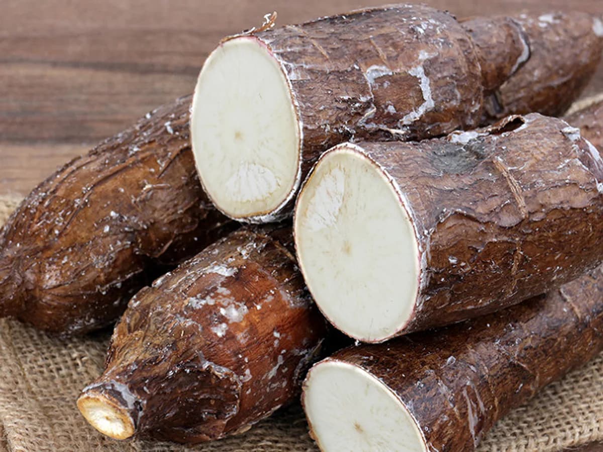 Manioc Frais - Tubercules Entiers - Alimentari - Marseille